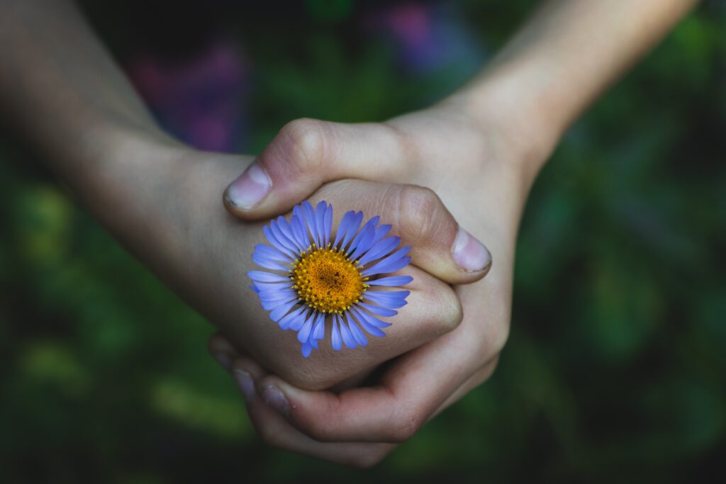 A imagem mostra as mãos de uma criança segurando uma flor em tom azulado com miolo amarelo. O fundo da fotografia está desfocado e a câmera tirou a fotografia de cima